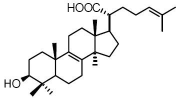 Trametenolic acid