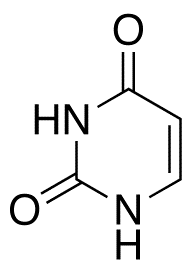 Uracil