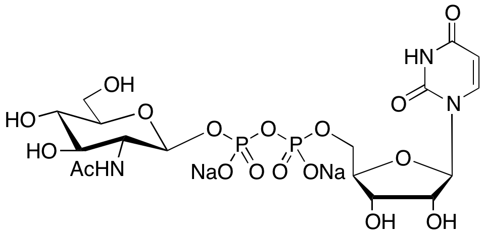 Uridine 5’-Diphospho-N-acetylglucosamine Disodium Salt