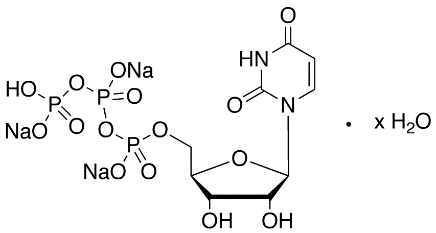 Uridine 5’-Triphosphate Trisodium Salt Hydrate