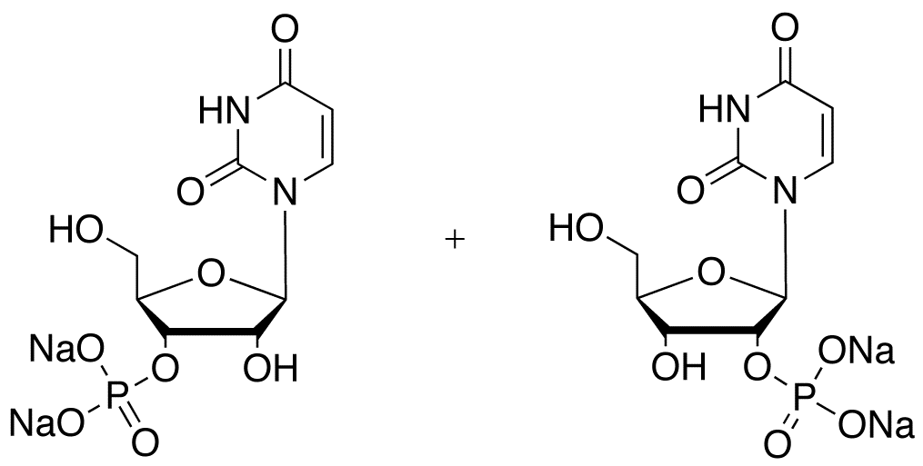 Uridine Monophosphate Disodium Salt (2’- and 3’- mixture)