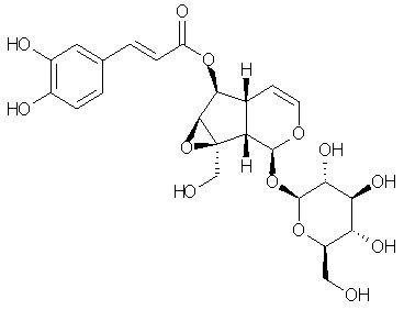 Verminoside