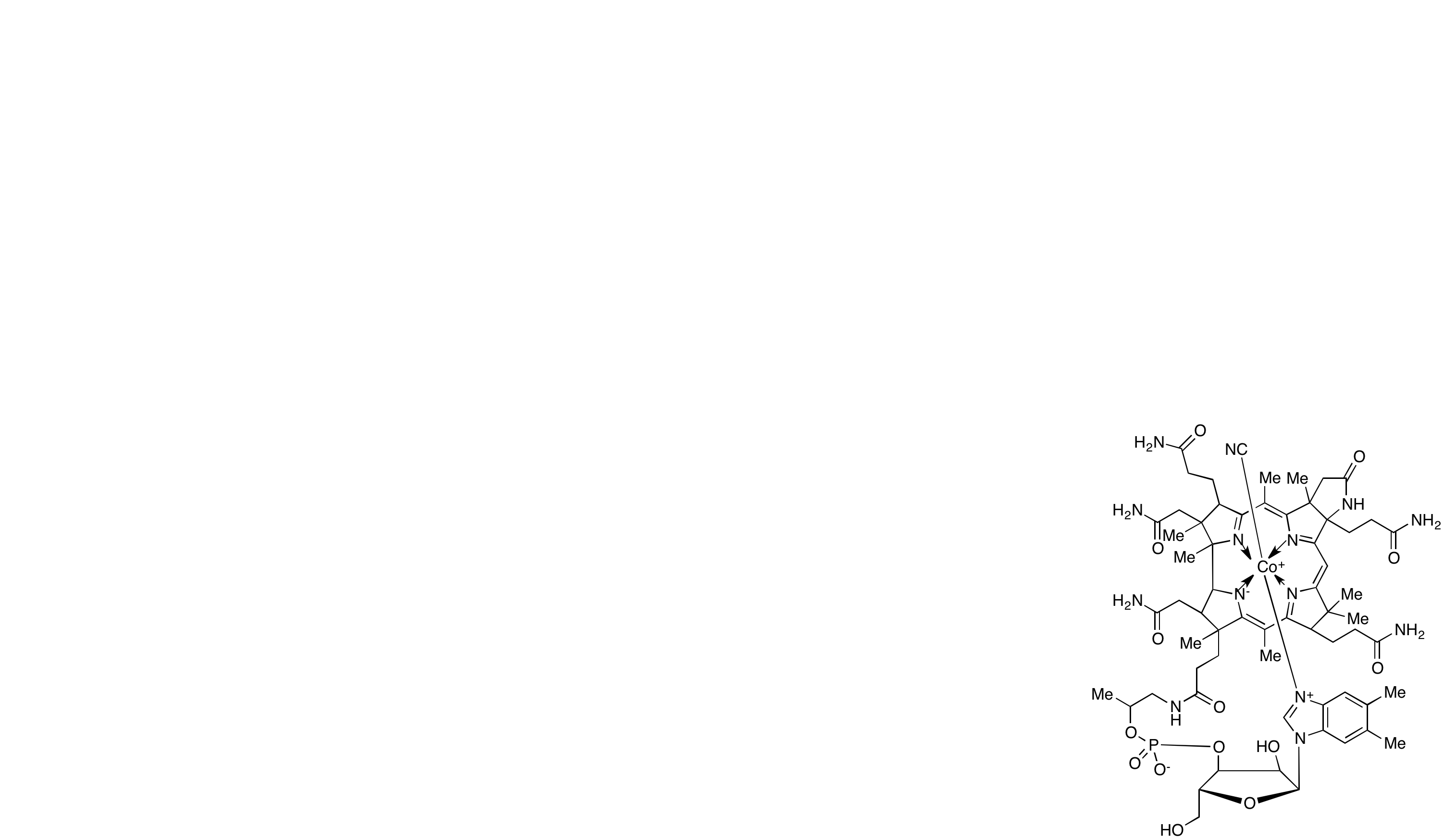 Vitamin B-12 C-Lactam