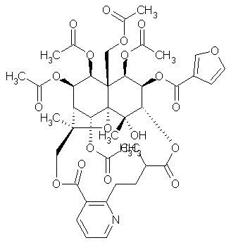 Wilforgine