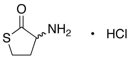 dl Homocysteine Thiolactone Hydrochloride