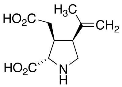 rac Kainic Acid