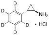 rac trans-2-Phenylcyclopropylamine-d5 Hydrochloride